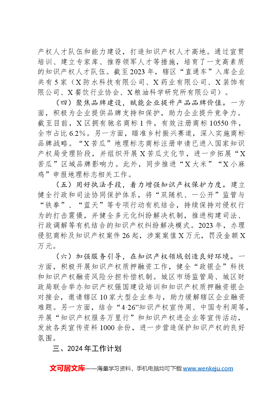X区2023年度知识产权保护工作总结.docx,第2页预览