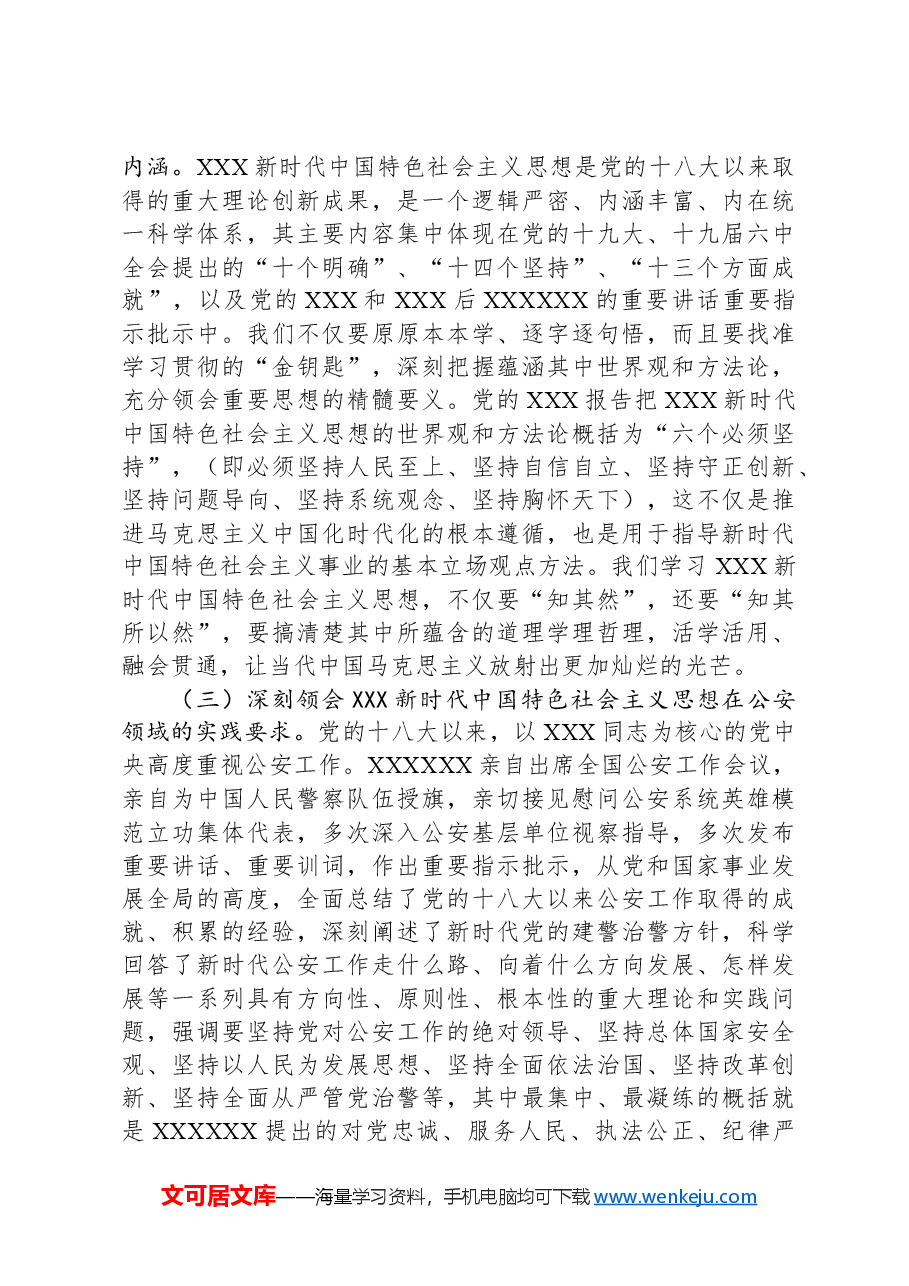 推进公安工作现代化主题党课.docx,第3页预览
