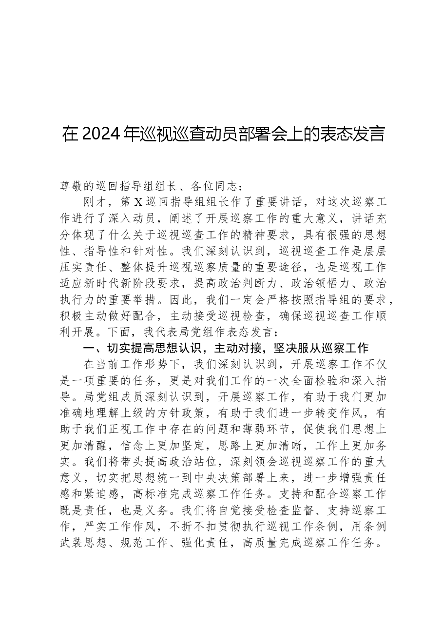 在2024年巡视巡查动员部署会上的表态发言.docx,第1页预览