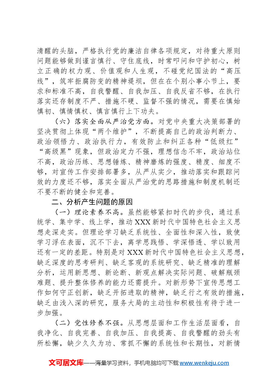 区委宣传部长2023年度主题教育专题民主生活会个人对照检查材料.docx,第3页预览