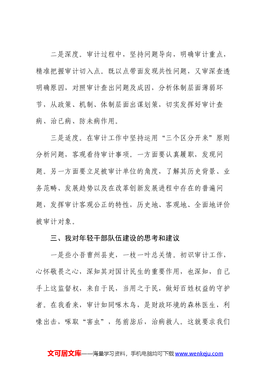 审计干部在青年干部座谈会上的发言材料.docx,第3页预览