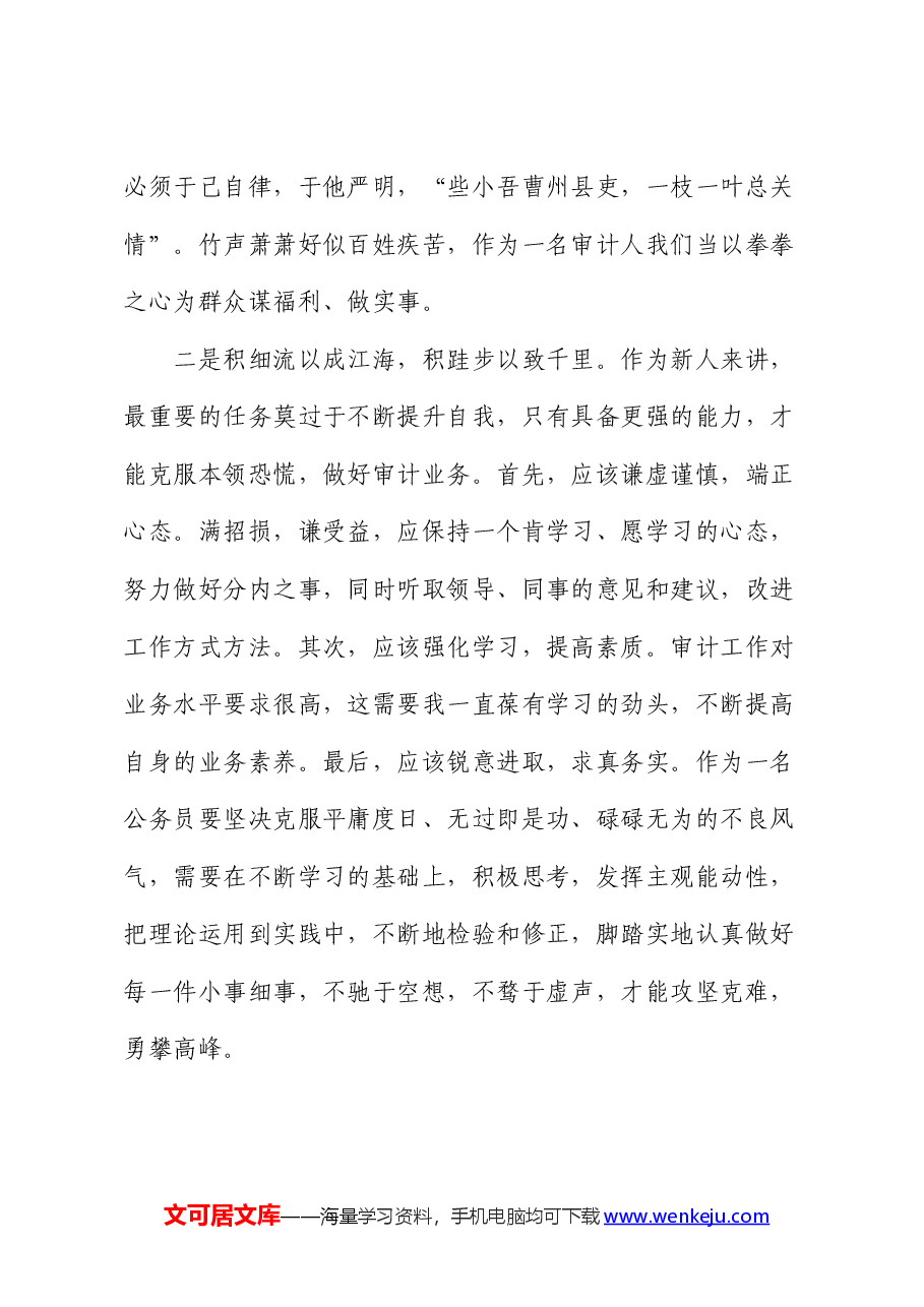 审计干部在青年干部座谈会上的发言材料.docx,第4页预览