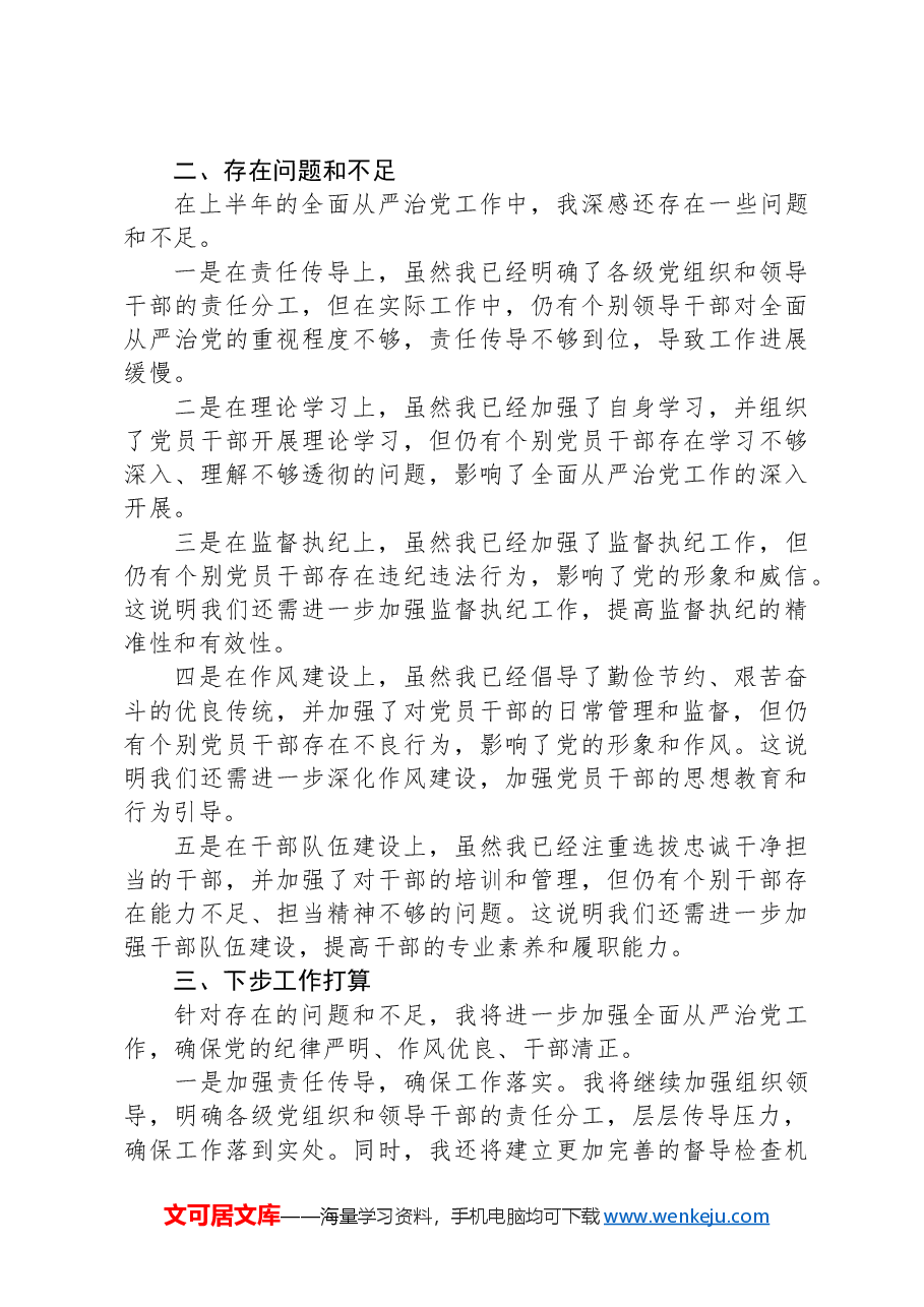 市长2024年上半年履行全面从严治党“第一责任人”情况报告.docx,第3页预览