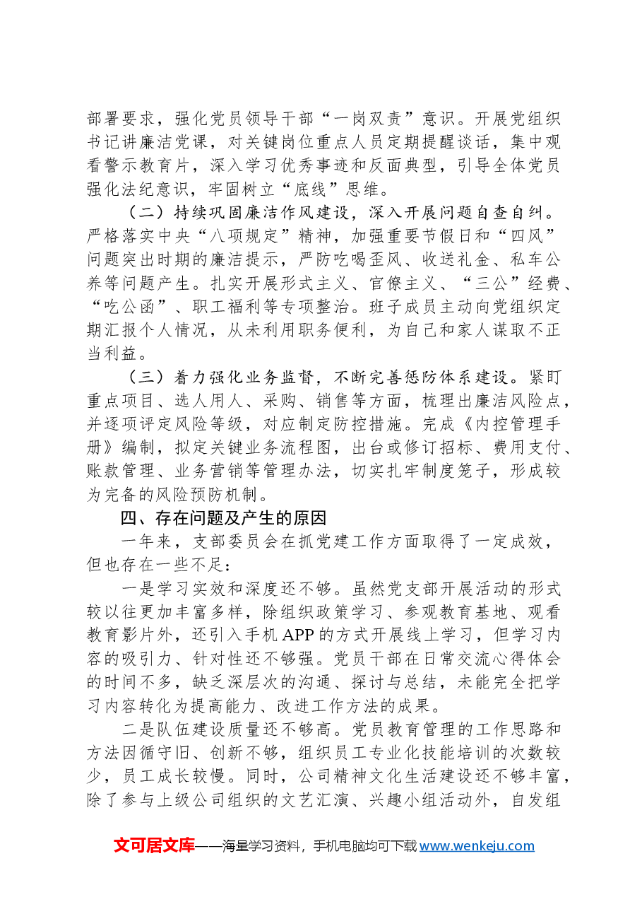 公司党支部年度工作报告.docx，第3页预览