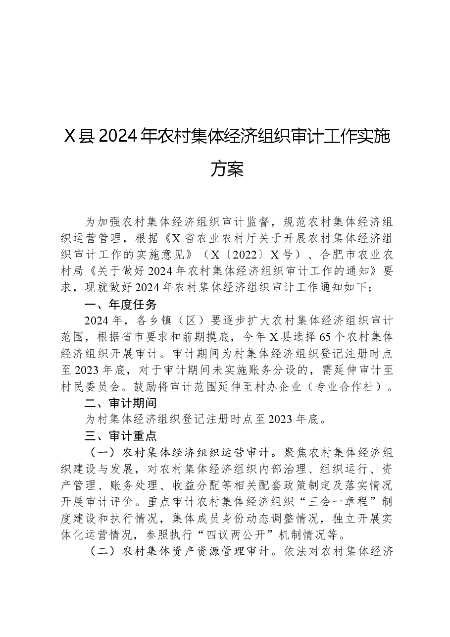 X县2024年农村集体经济组织审计工作实施方案.docx,第1页预览