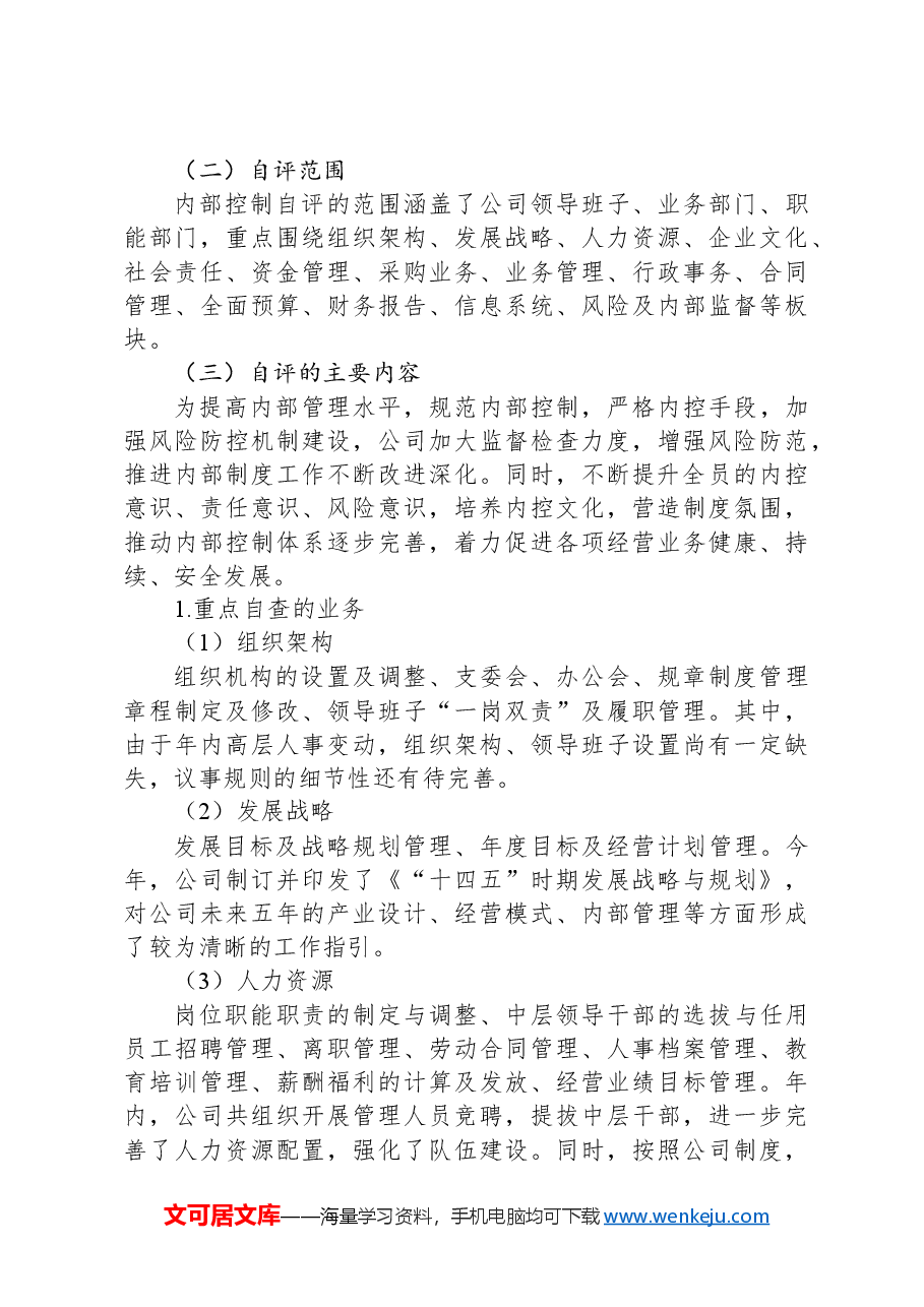 公司年度内部控制体系建设自评报告.docx,第3页预览