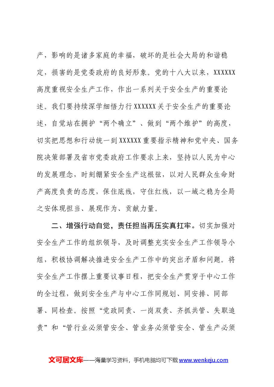 2024年理论学习中心组专题研讨发言材料(安全生产).docx,第2页预览