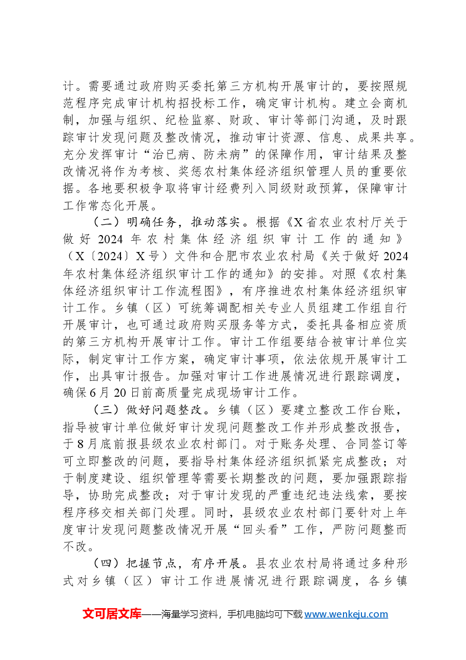 X县2024年农村集体经济组织审计工作实施方案.docx,第3页预览