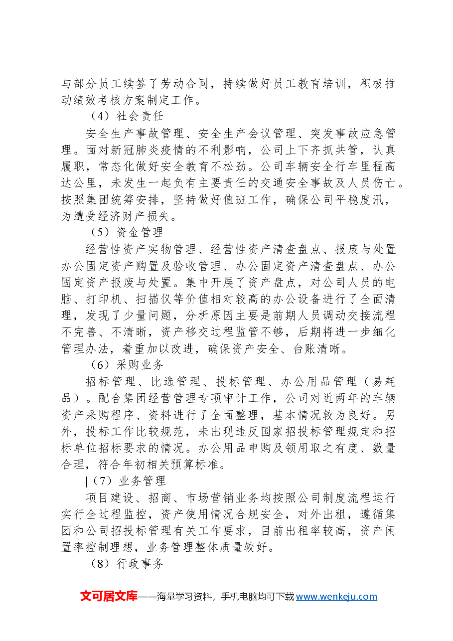 公司年度内部控制体系建设自评报告.docx,第4页预览