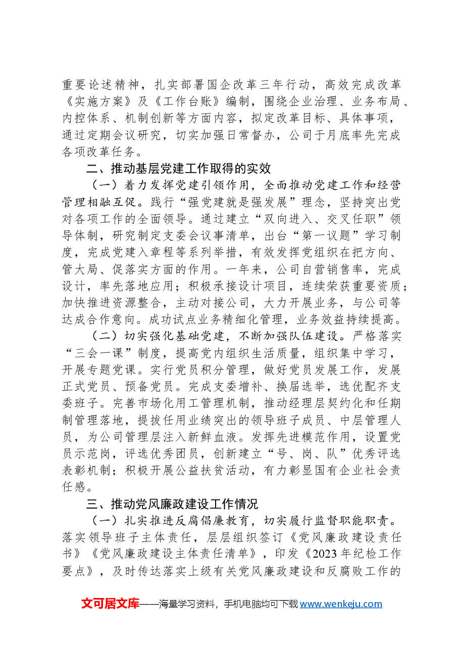 公司党支部年度工作报告.docx，第2页预览