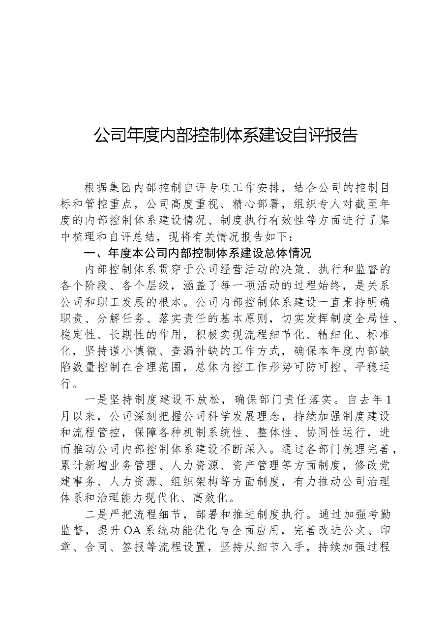 公司年度内部控制体系建设自评报告.docx,第1页预览
