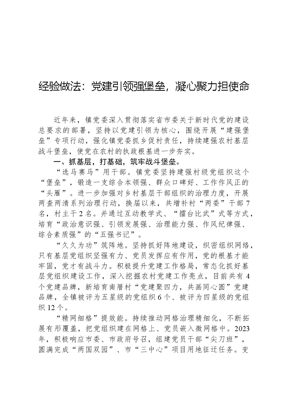 经验做法:党建引领强堡垒,凝心聚力担使命.docx,第1页预览