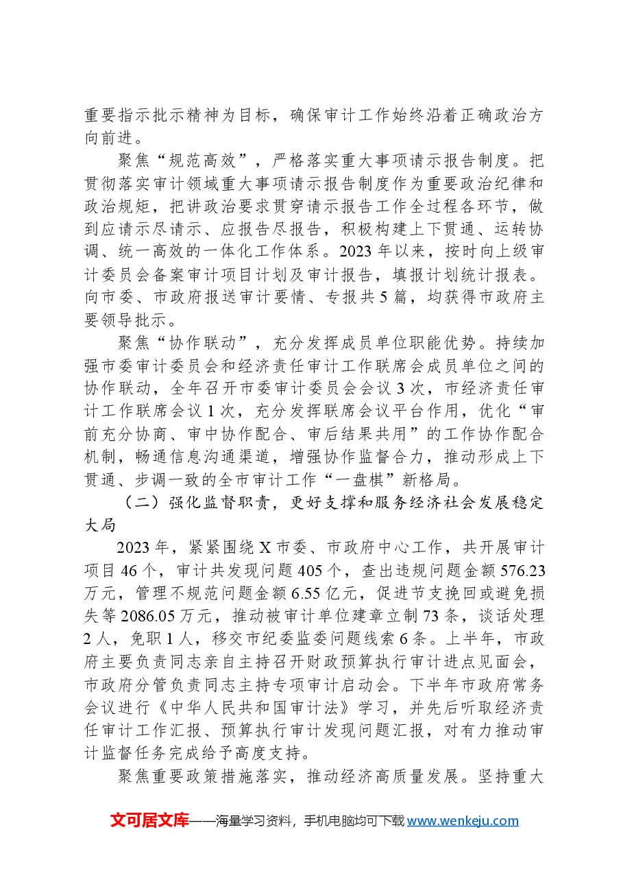 2023年度X市审计工作总结.docx,第2页预览