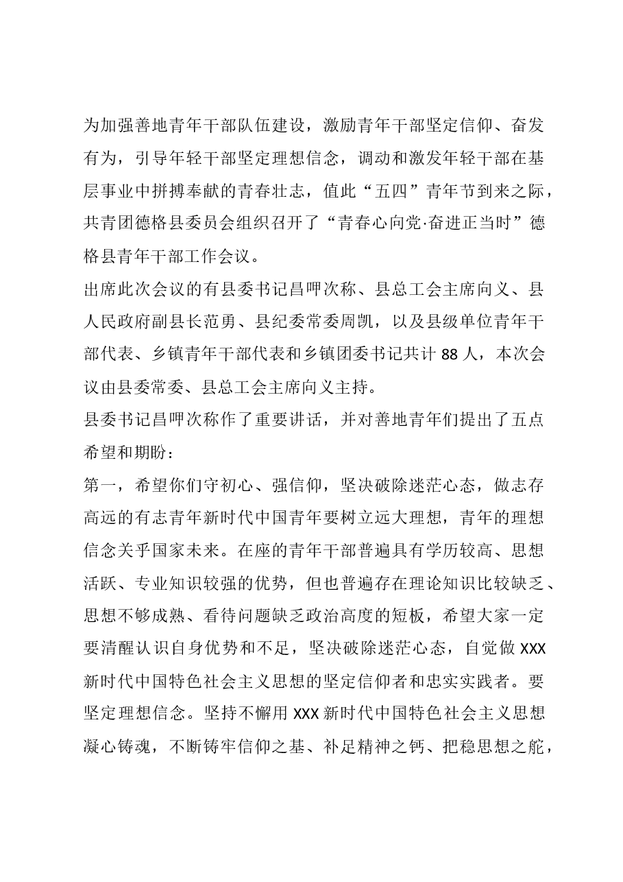 县委书记在青年干部工作会议上的讲话.doc,第1页预览