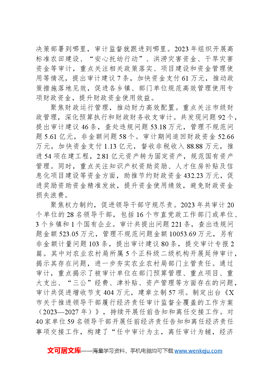 2023年度X市审计工作总结.docx,第3页预览