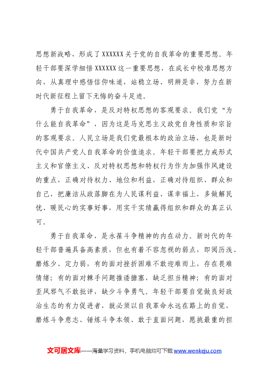 党课讲稿:青年干部要永葆清正廉洁的政治本色.docx,第2页预览