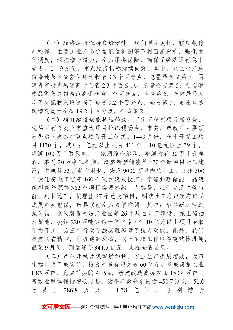在市政府全体(扩大)会议上的讲话-2.docx,第2页预览