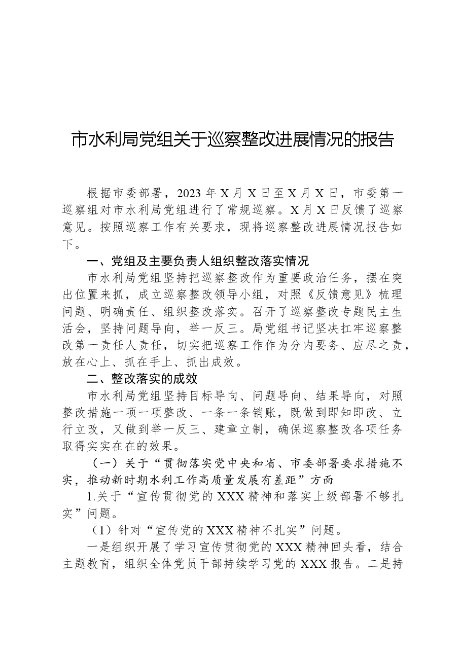 市水利局党组关于巡察整改进展情况的报告.docx,第1页预览
