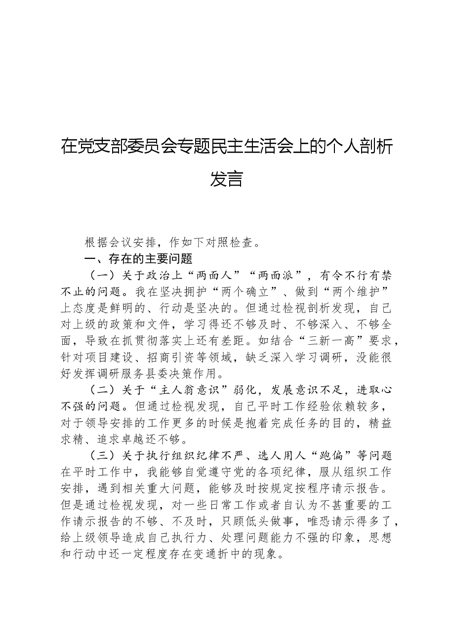 在党支部委员会专题民主生活会上的个人剖析发言.docx,第1页预览