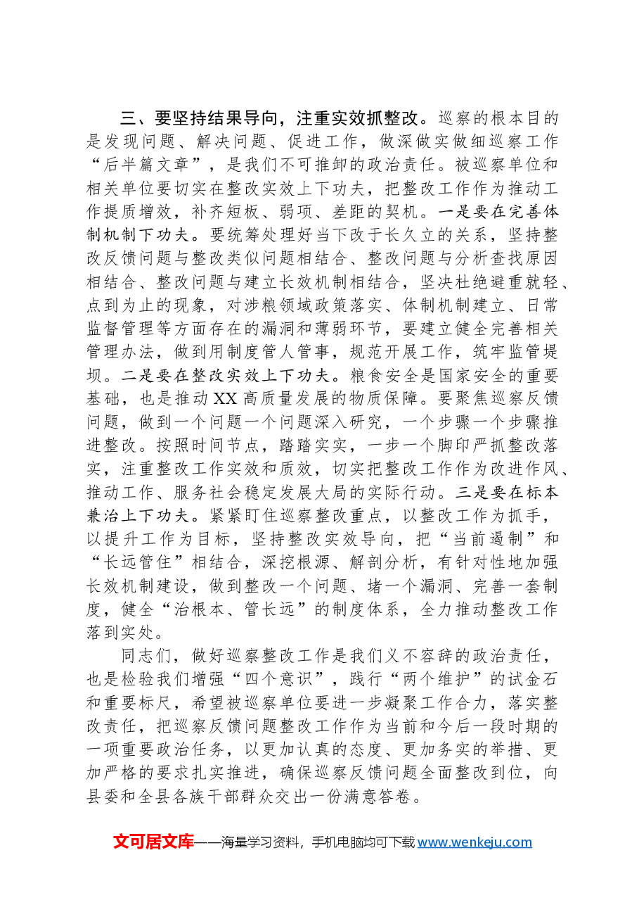 巡察整改工作会议上的讲话.docx,第3页预览