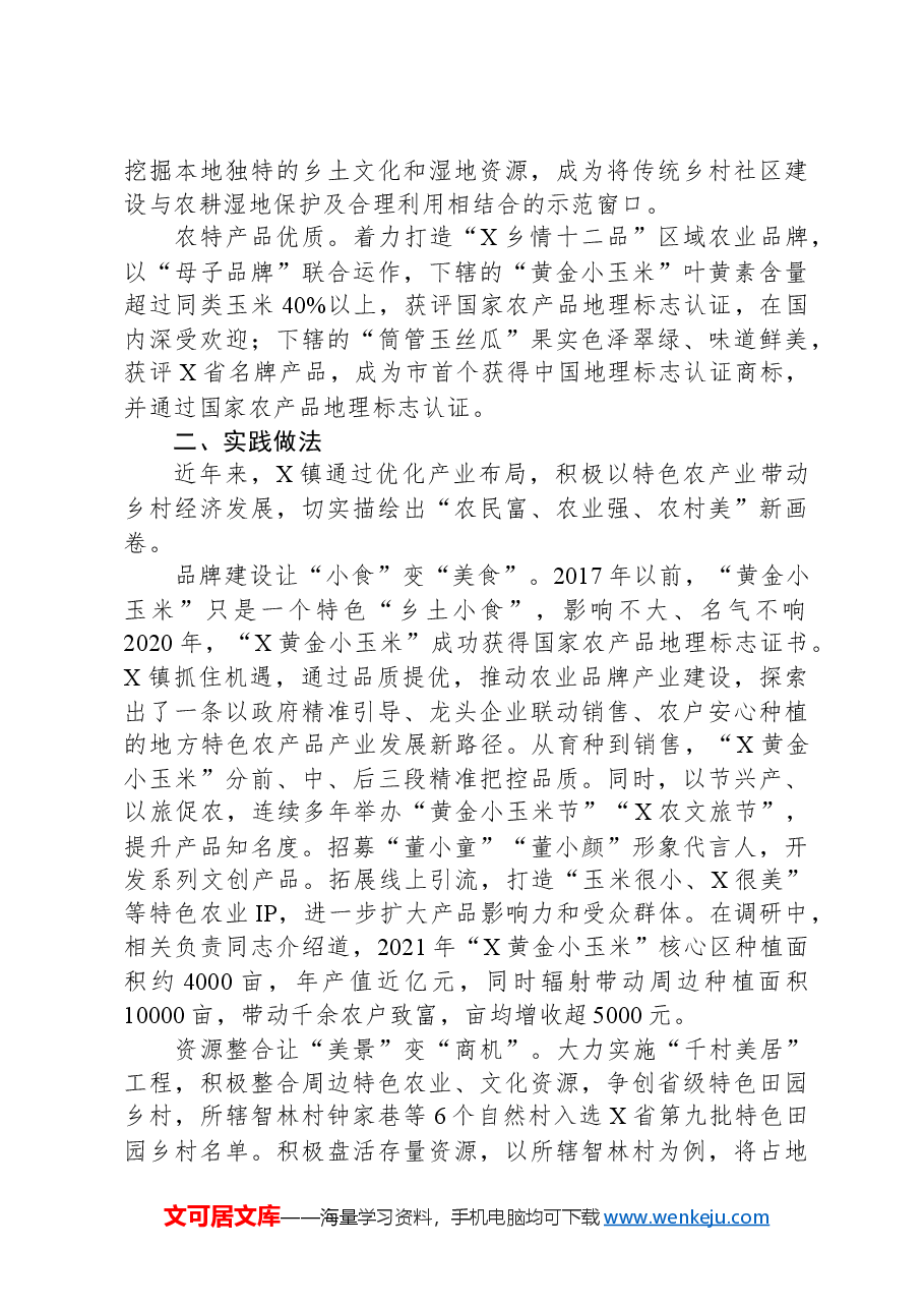 调研报告:以产业“微布局”做好乡村振兴“大文章”.docx,第2页预览