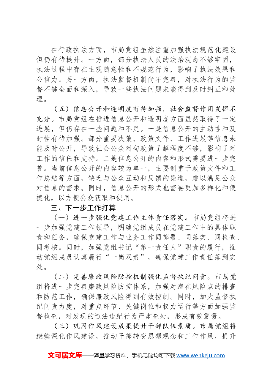 局党组纪检监察工作专题报告.docx,第3页预览