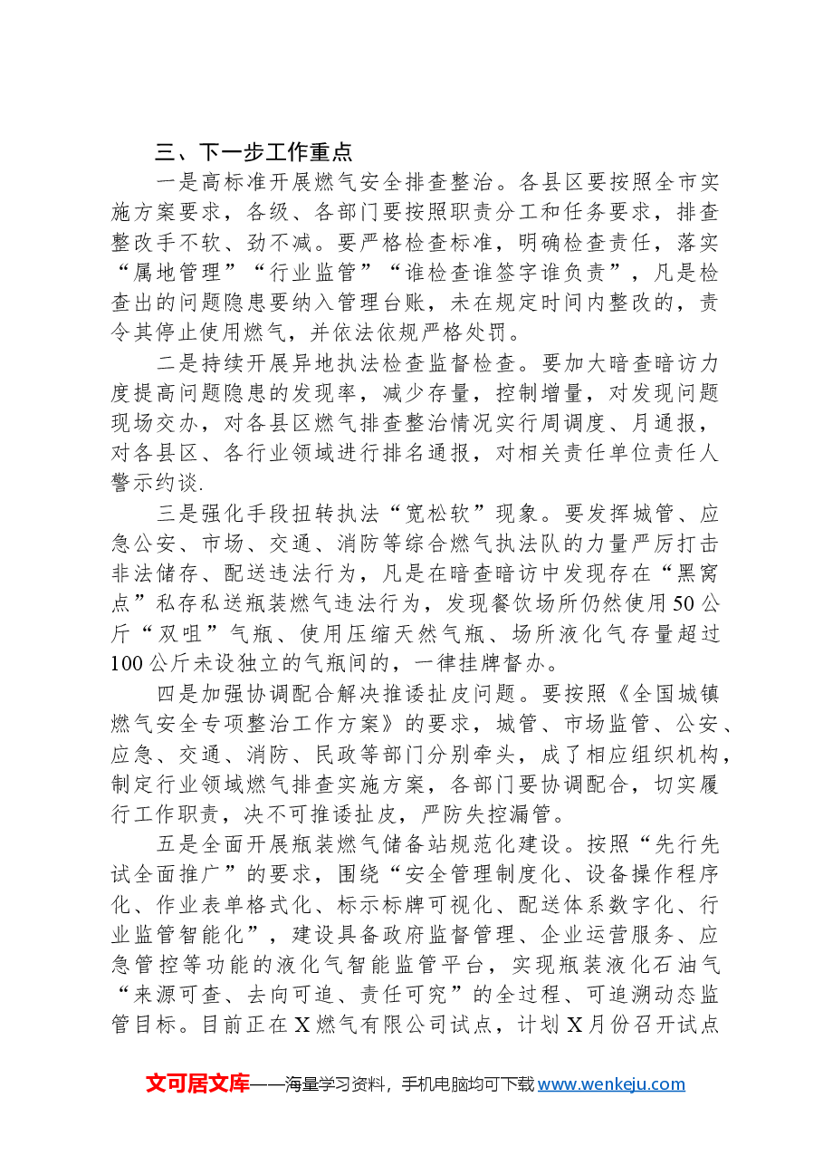 在全市城镇燃气安全专项整治工作部署推进视频会上的讲话.docx,第3页预览