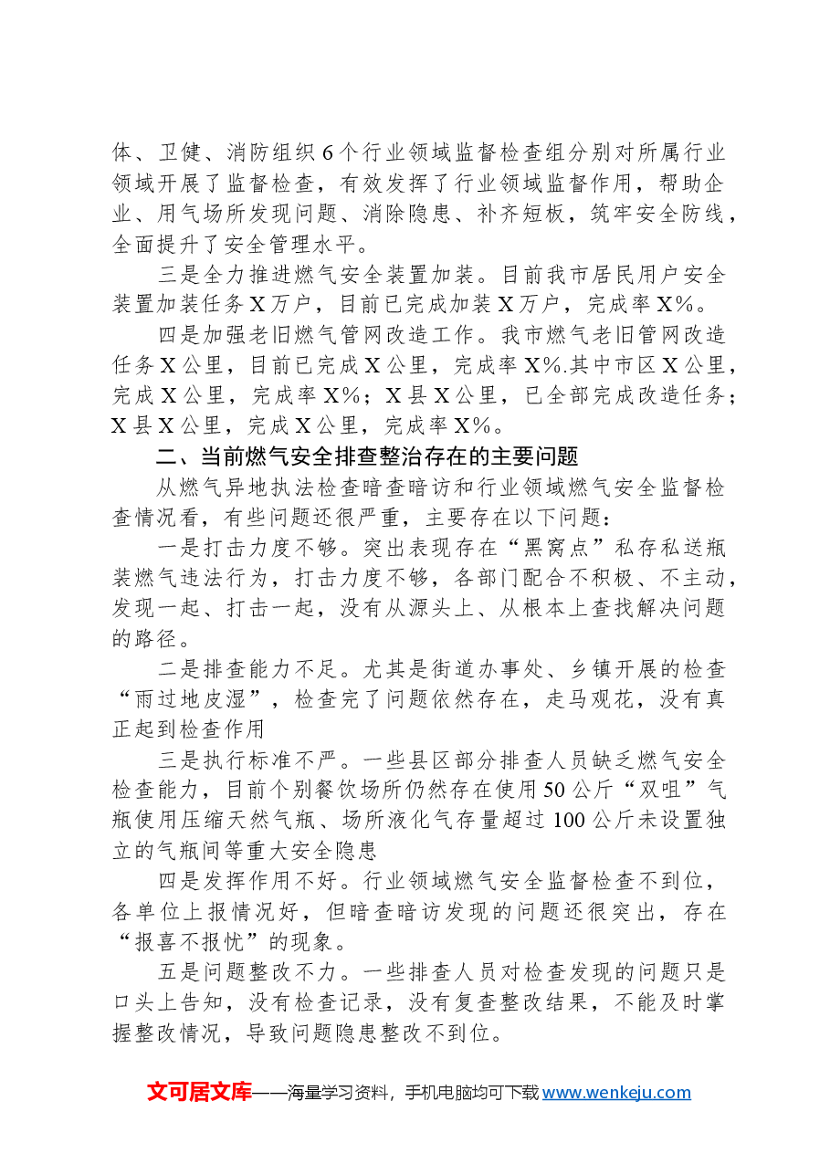 在全市城镇燃气安全专项整治工作部署推进视频会上的讲话.docx,第2页预览