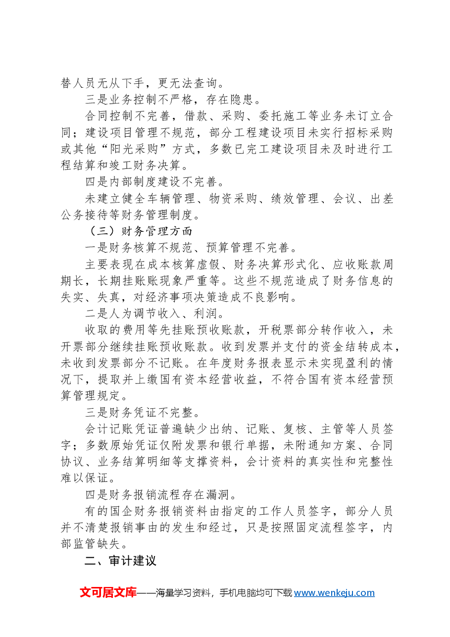 国有企业审计:发现共性问题清单、审计建议.docx,第2页预览