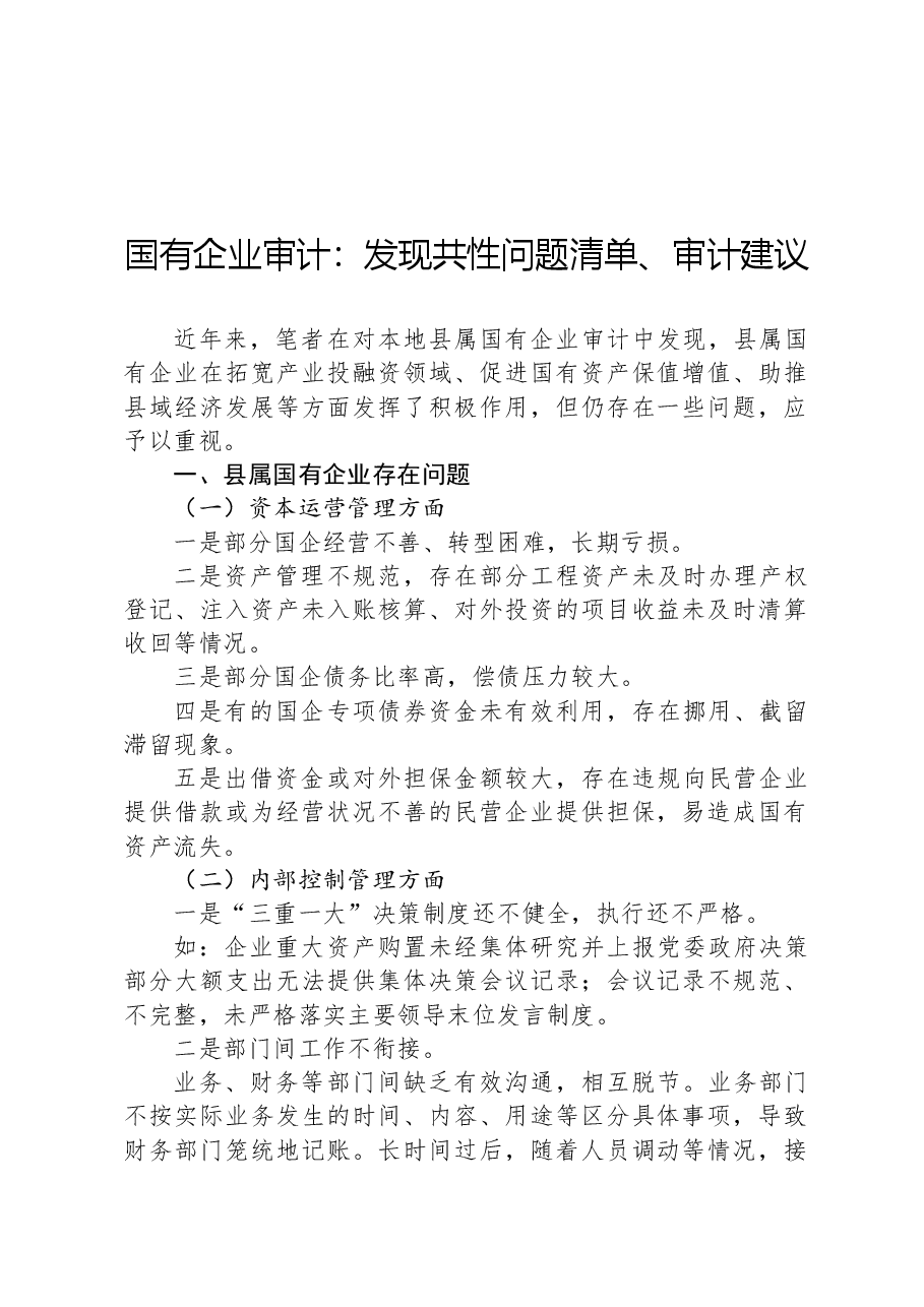 国有企业审计:发现共性问题清单、审计建议.docx,第1页预览