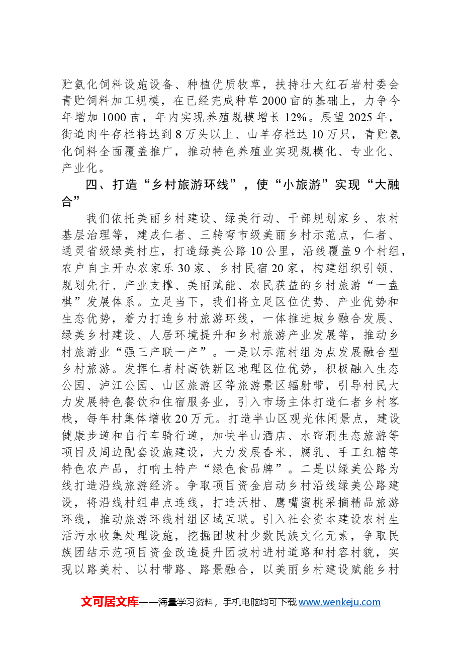 2024年乡村振兴汇报材料.docx,第3页预览