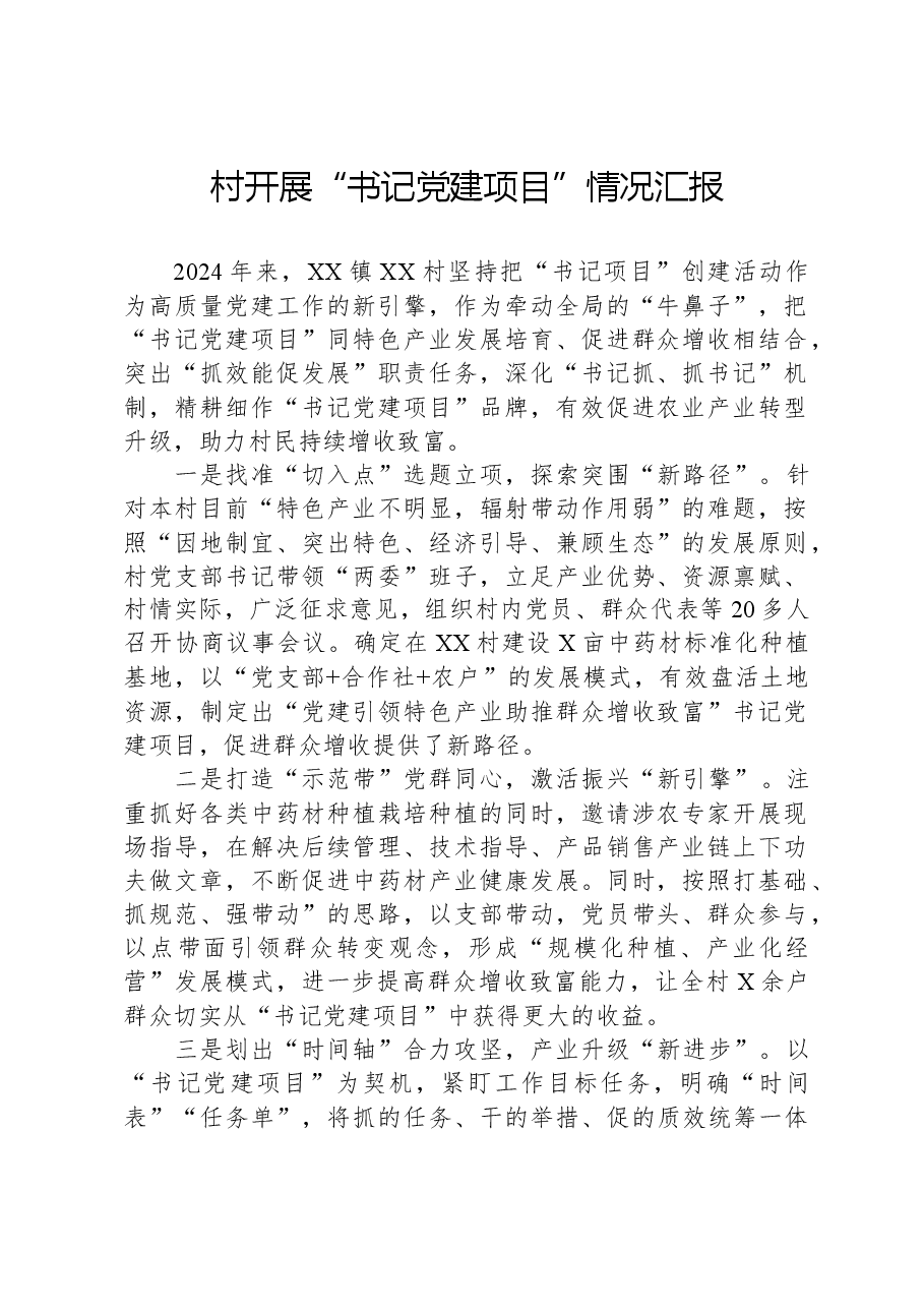 村开展“书记党建项目”情况汇报.docx,第1页预览