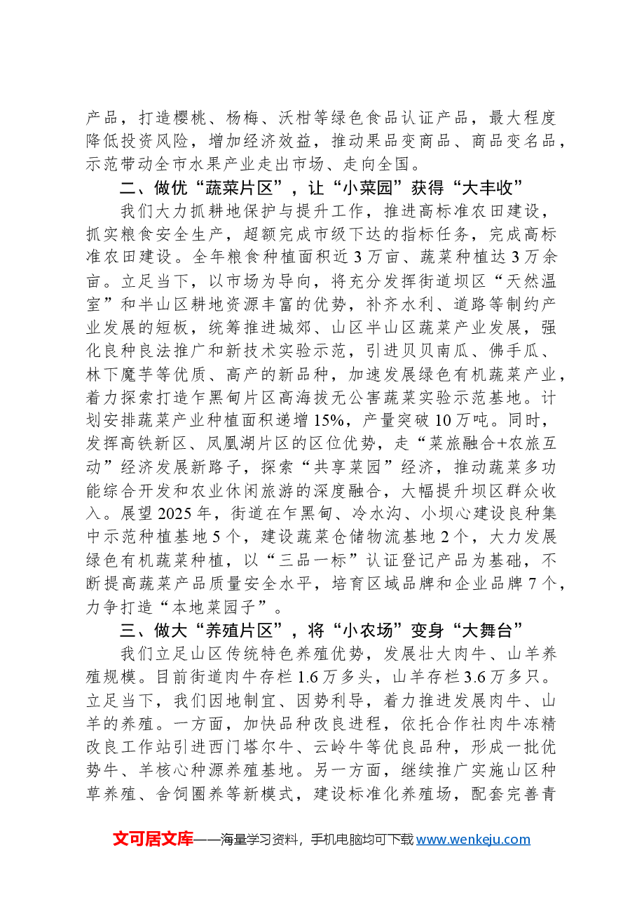 2024年乡村振兴汇报材料.docx,第2页预览