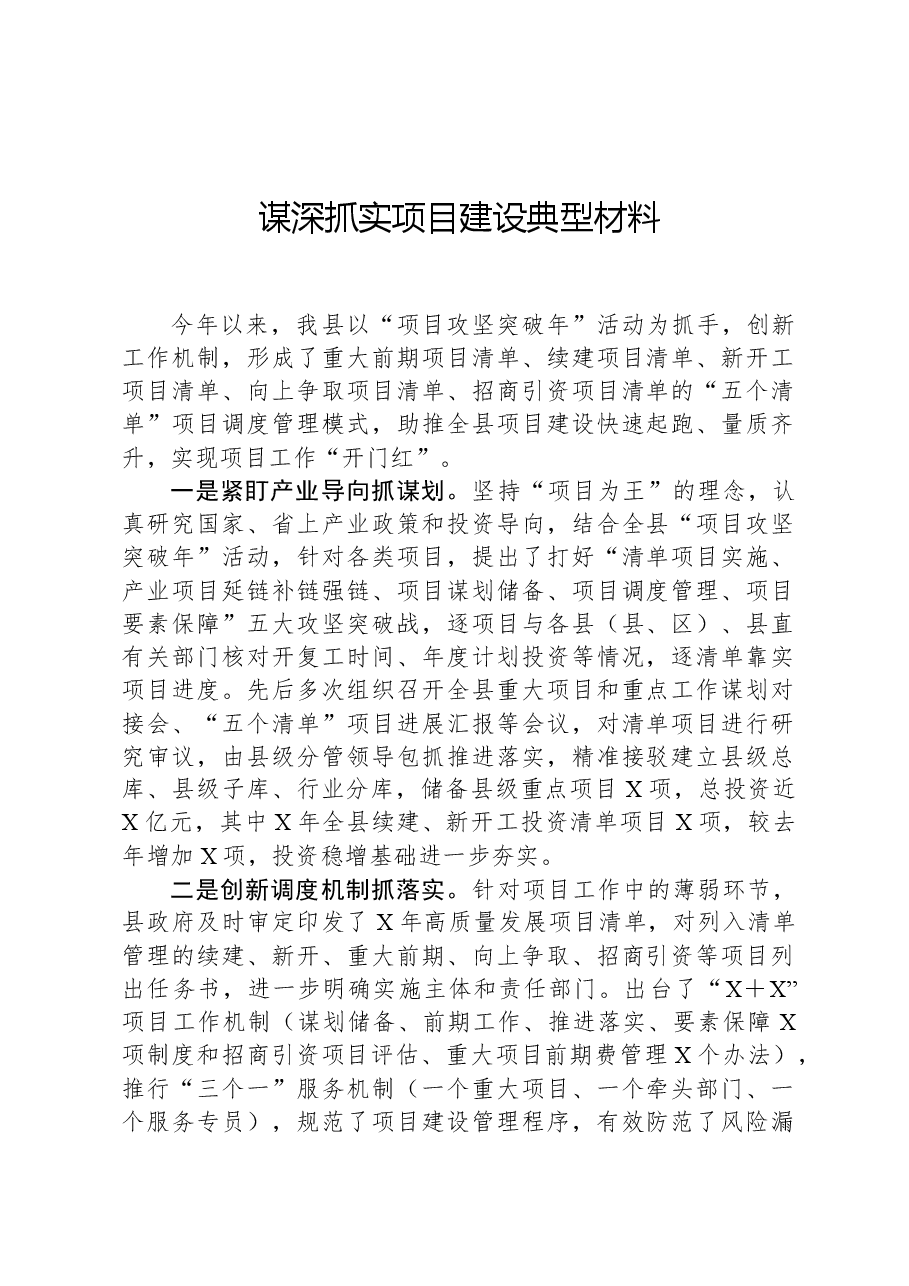 谋深抓实项目建设典型材料.docx,第1页预览