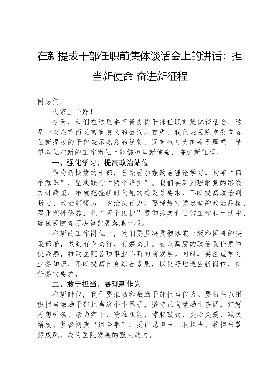 在新提拔干部任职前集体谈话会上的讲话:担当新使命奋进新征程.docx,第1页预览
