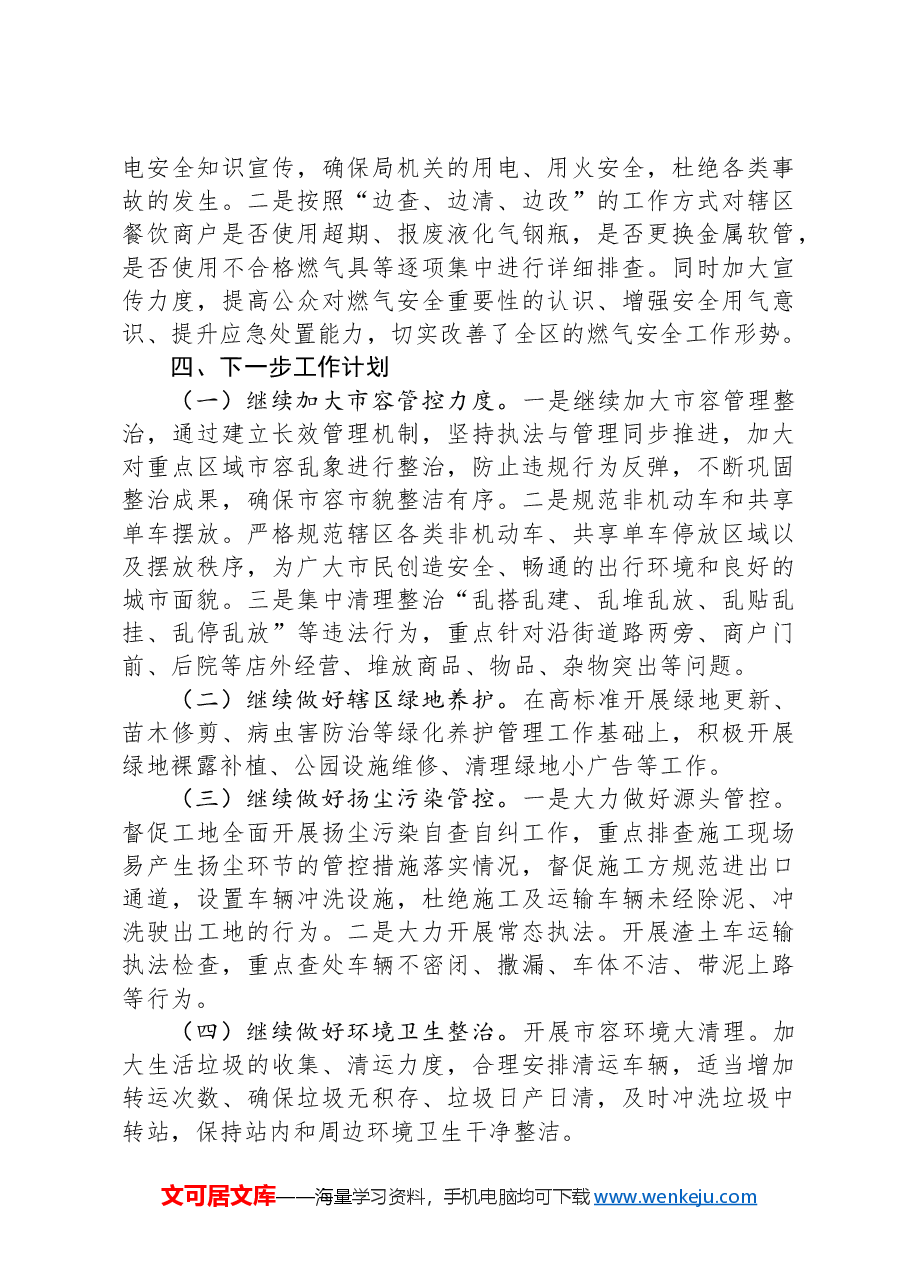 区城市管理局（区城市综合执法局）开展市容环境整治提升专项行动工作总结.docx，第4页预览