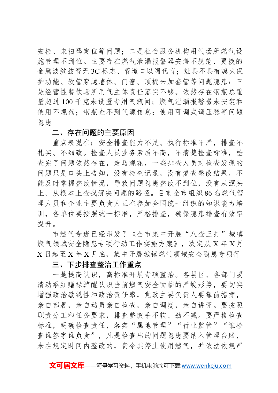 在全市住建领域安全隐患(城镇燃气)专项排查整治工作上的讲话.docx,第2页预览