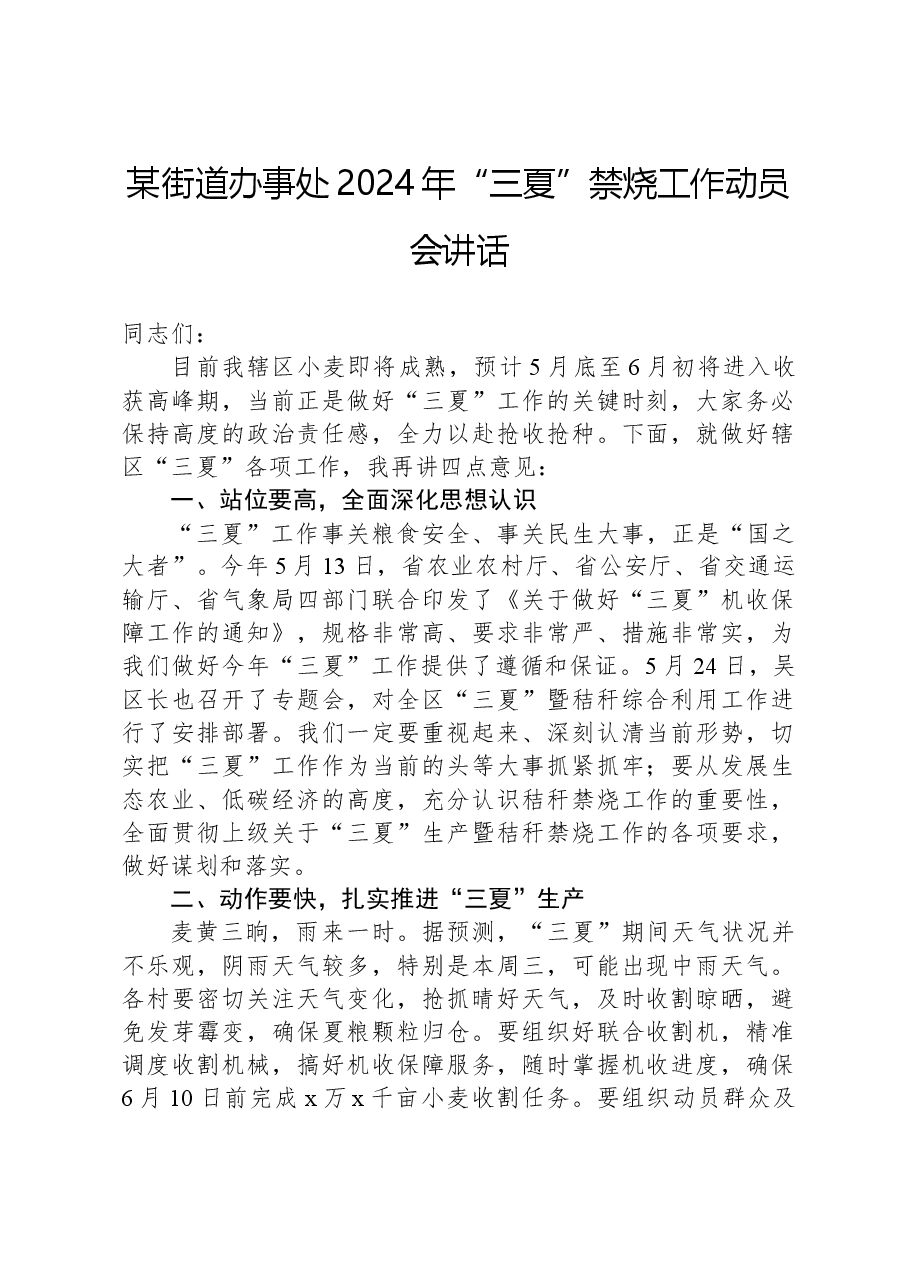 某街道办事处2024年“三夏”禁烧工作动员会讲话.docx,第1页预览
