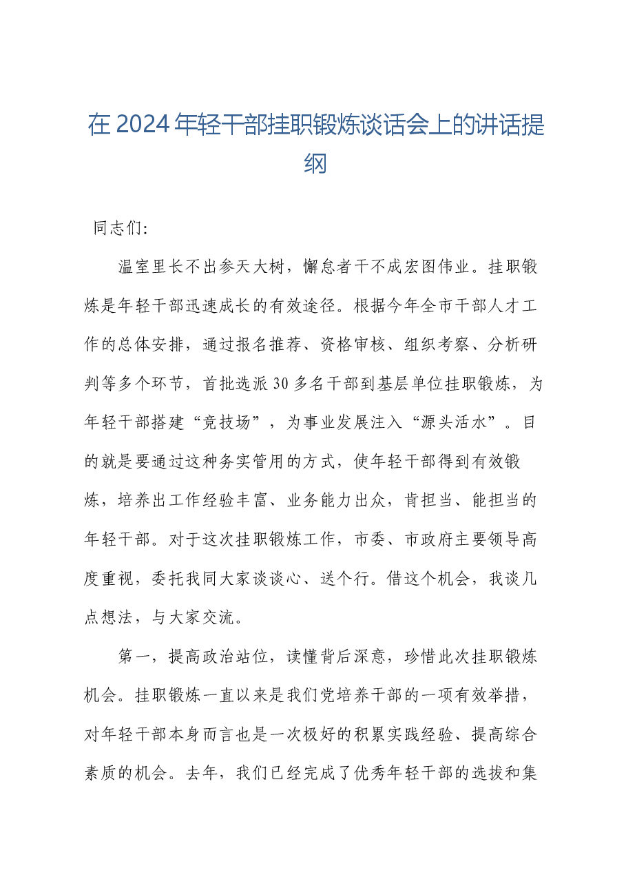 在2024年轻干部挂职锻炼谈话会上的讲话提纲.docx,第1页预览