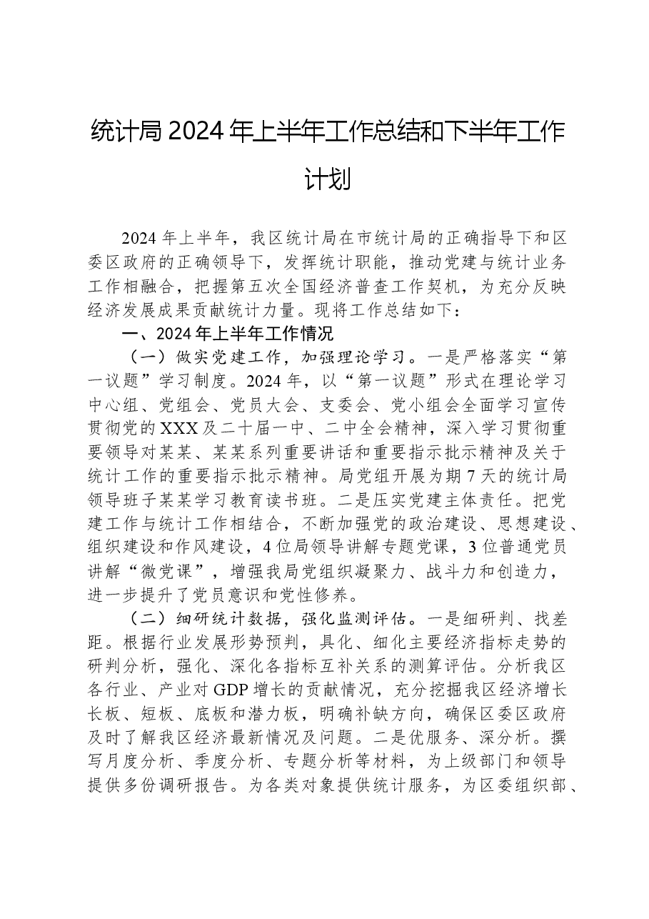 统计局2024年上半年工作总结和下半年工作计划.docx,第1页预览