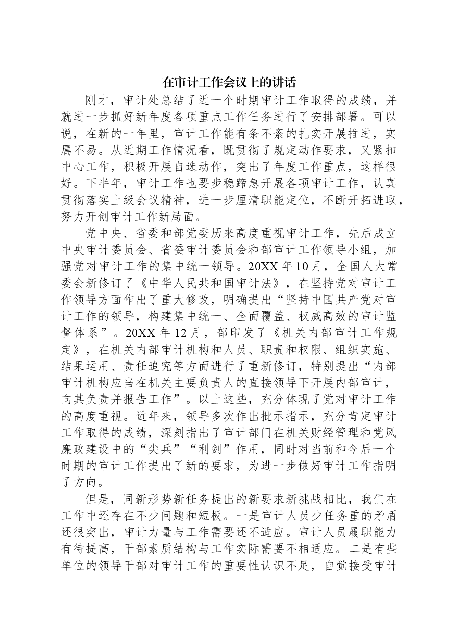 在审计工作会议上的讲话.docx,第1页预览