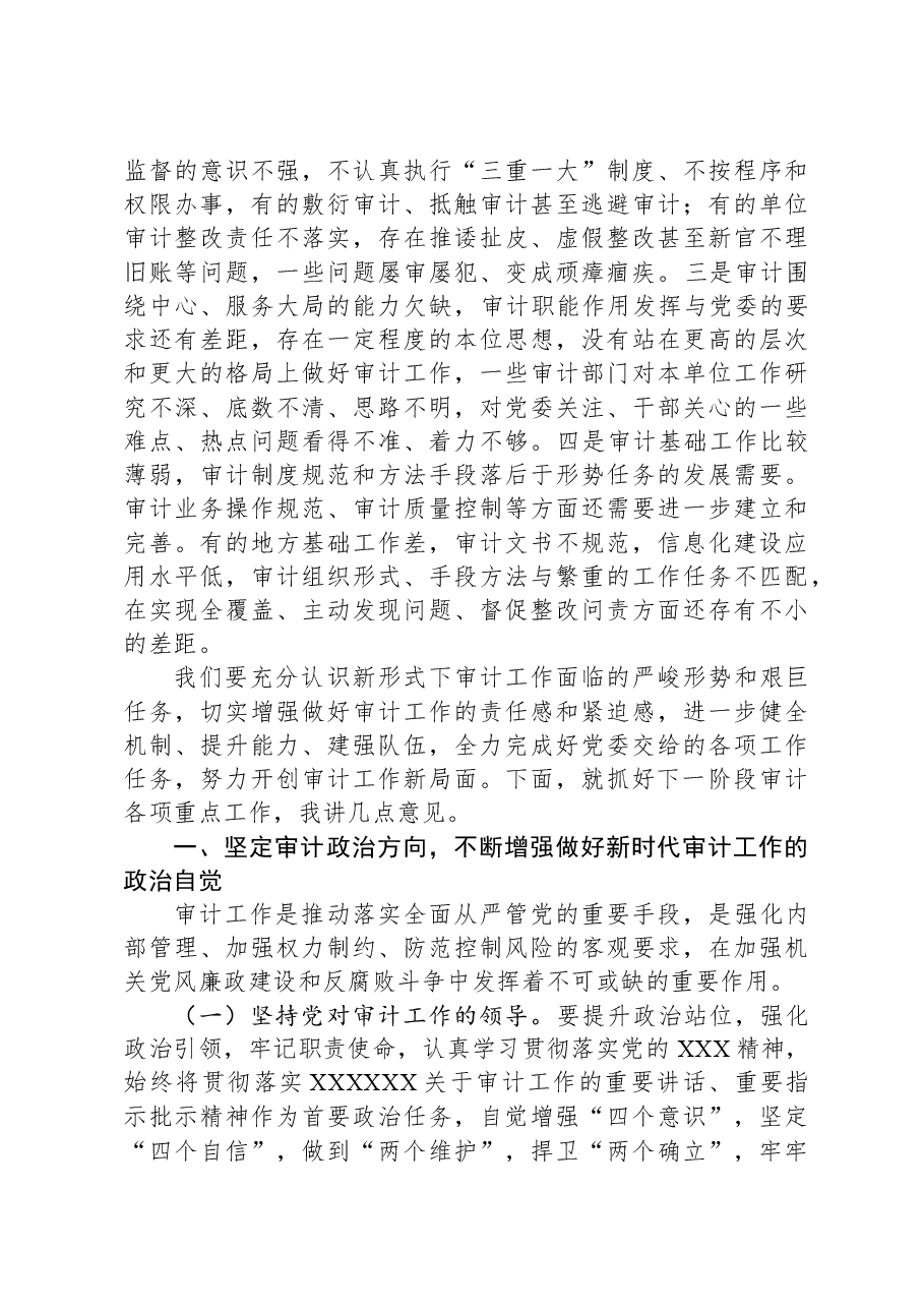 在审计工作会议上的讲话.docx,第2页预览