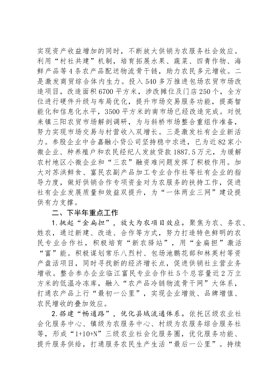 区供销合作总社2024年度上半年工作总结和下半年工作计划.docx,第3页预览