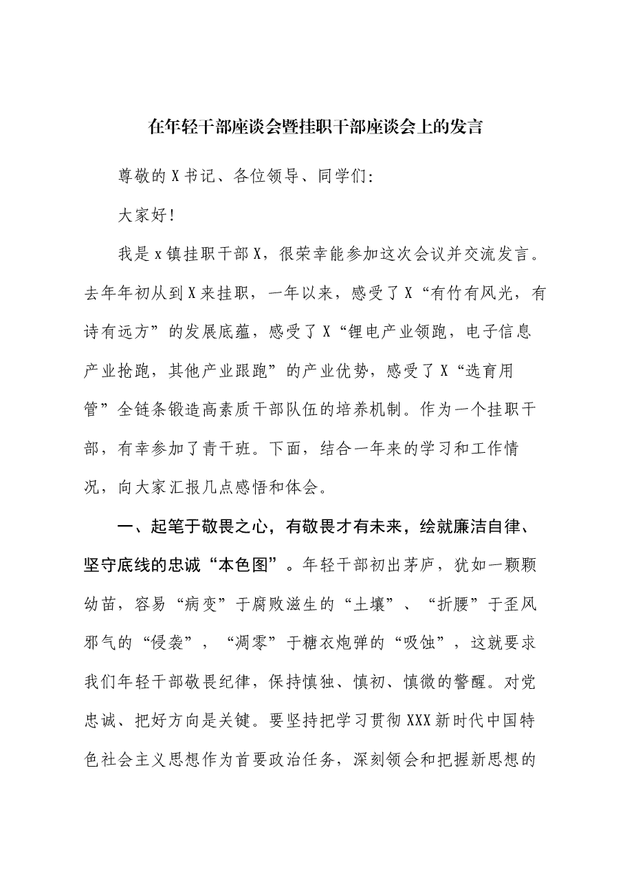 在年轻干部座谈会暨挂职干部座谈会上的发言.docx,第1页预览