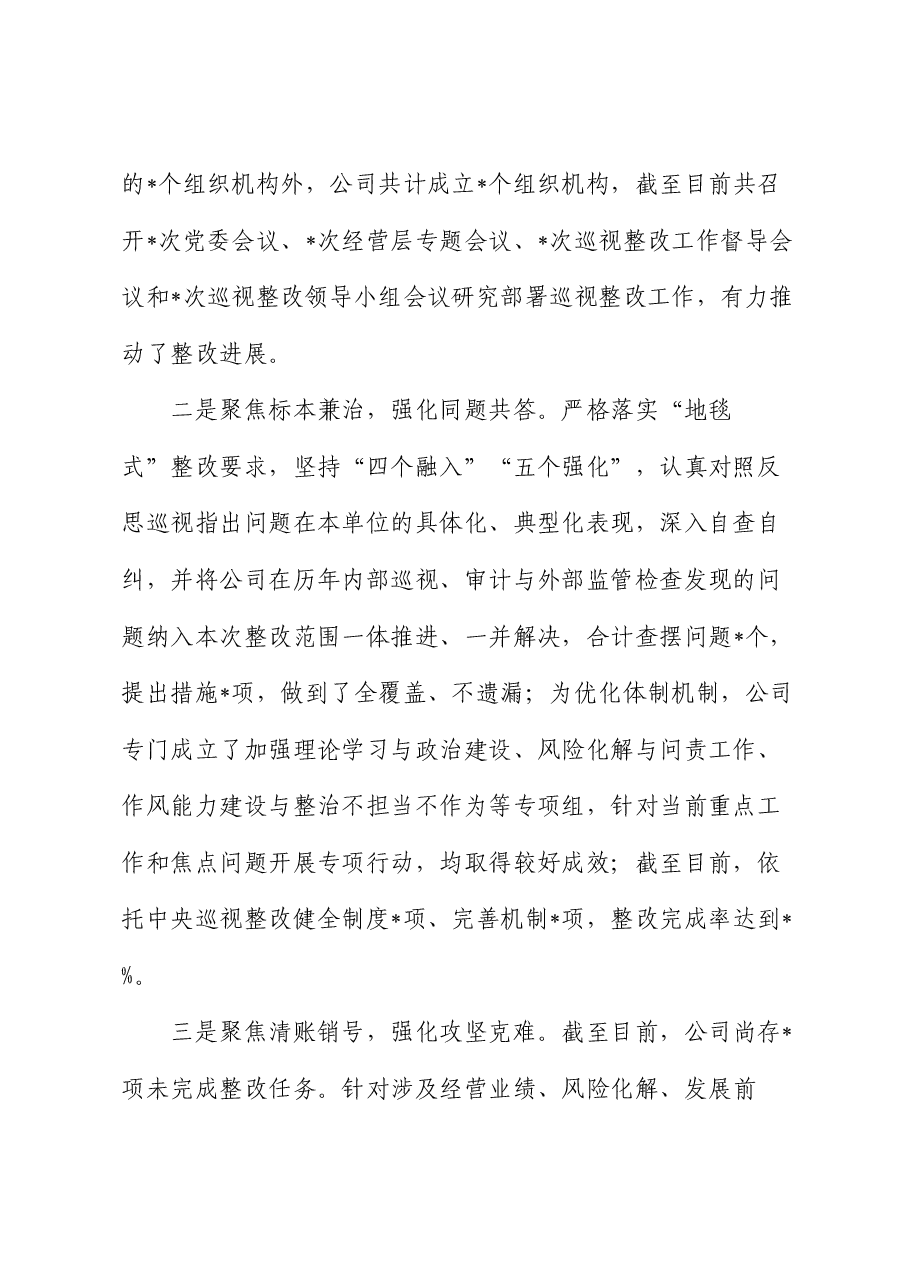 在集团党委巡视“回头看”动员会议上的汇报材料.docx,第2页预览