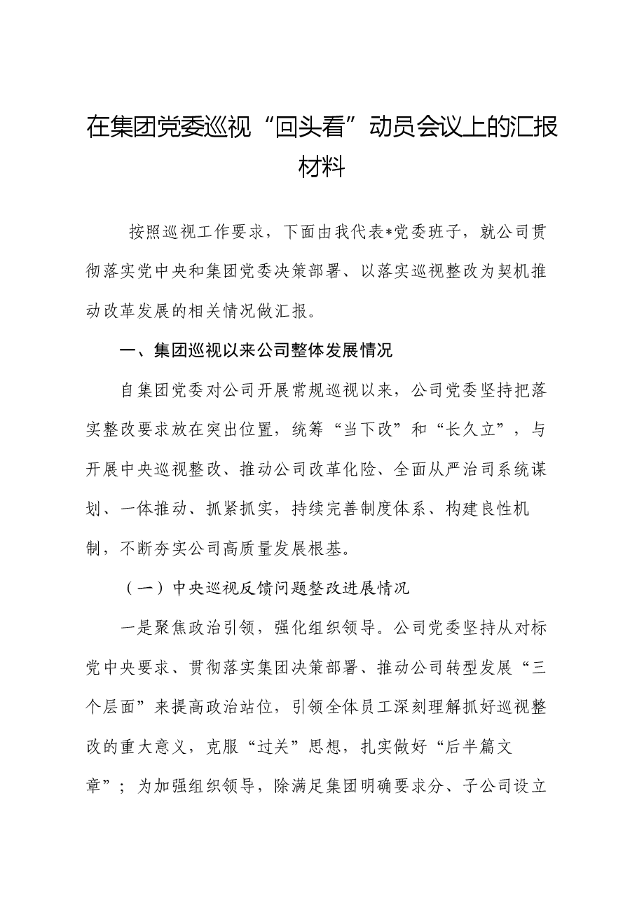 在集团党委巡视“回头看”动员会议上的汇报材料.docx,第1页预览