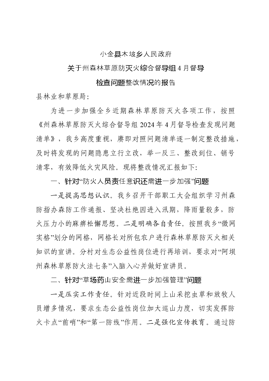 乡2024年4月州森林草原防灭火综合督导发现问题整改情况报告.doc,第1页预览