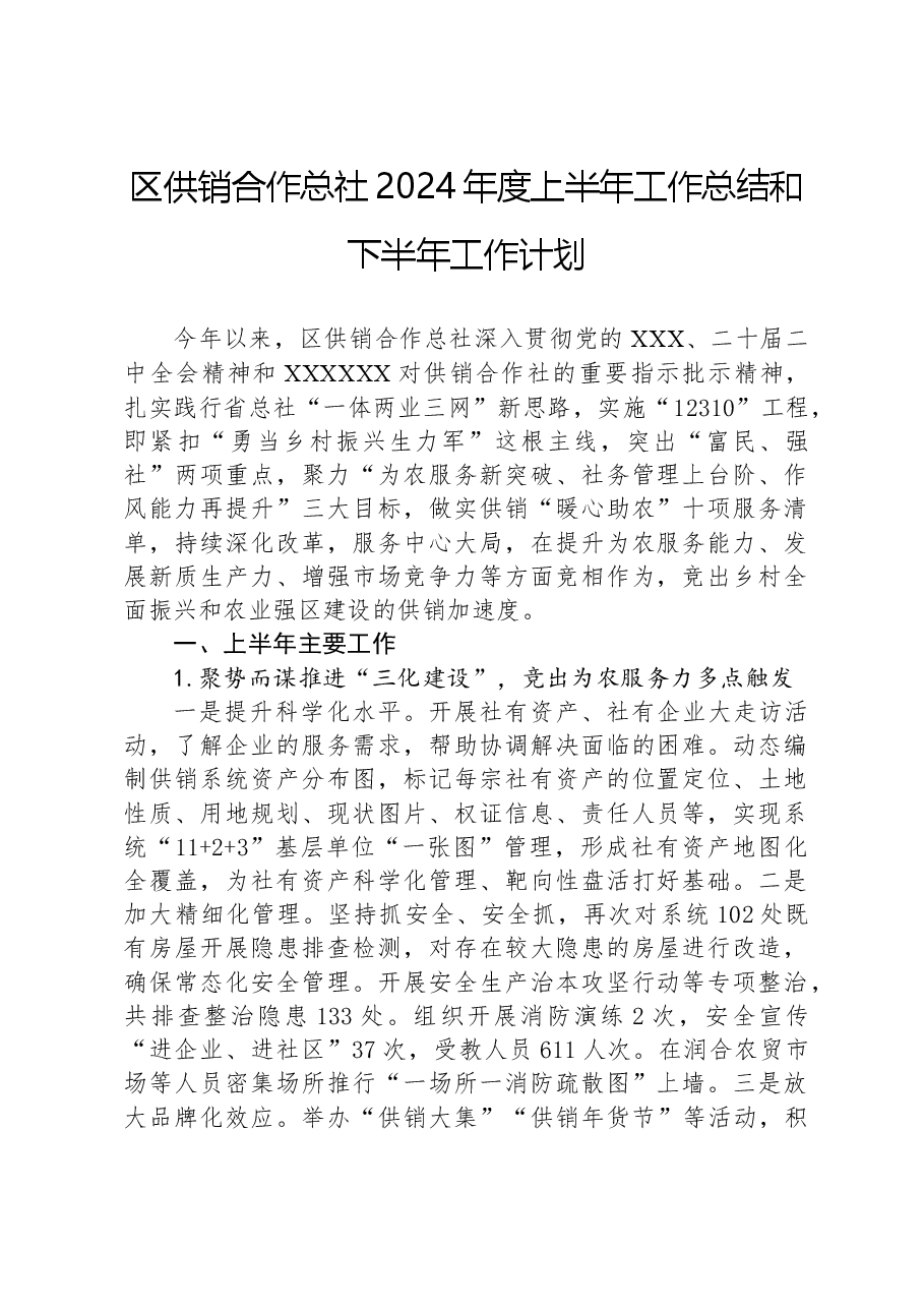 区供销合作总社2024年度上半年工作总结和下半年工作计划.docx,第1页预览
