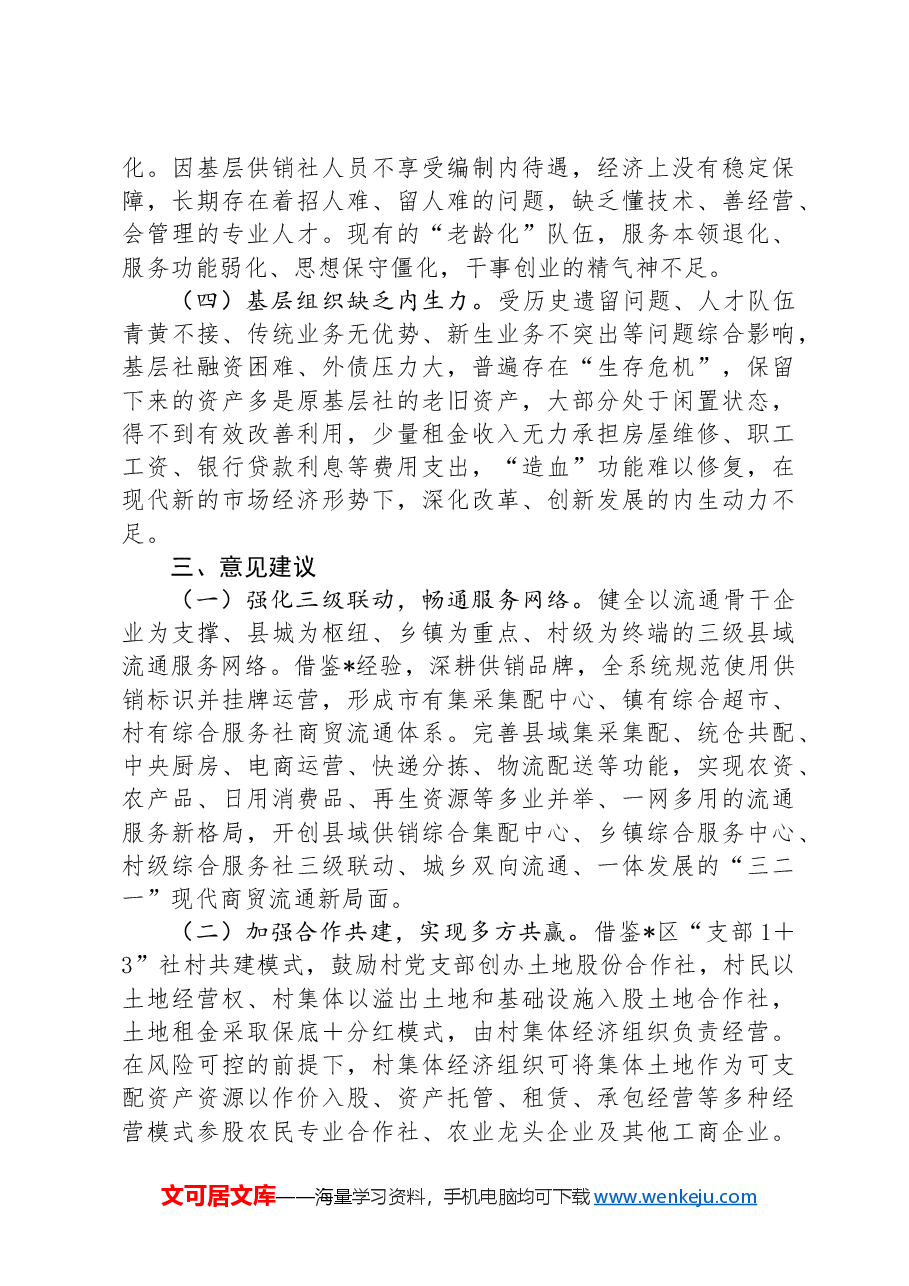 关于“供销服务‘三农’赋能乡村振兴”调研报告.docx,第4页预览