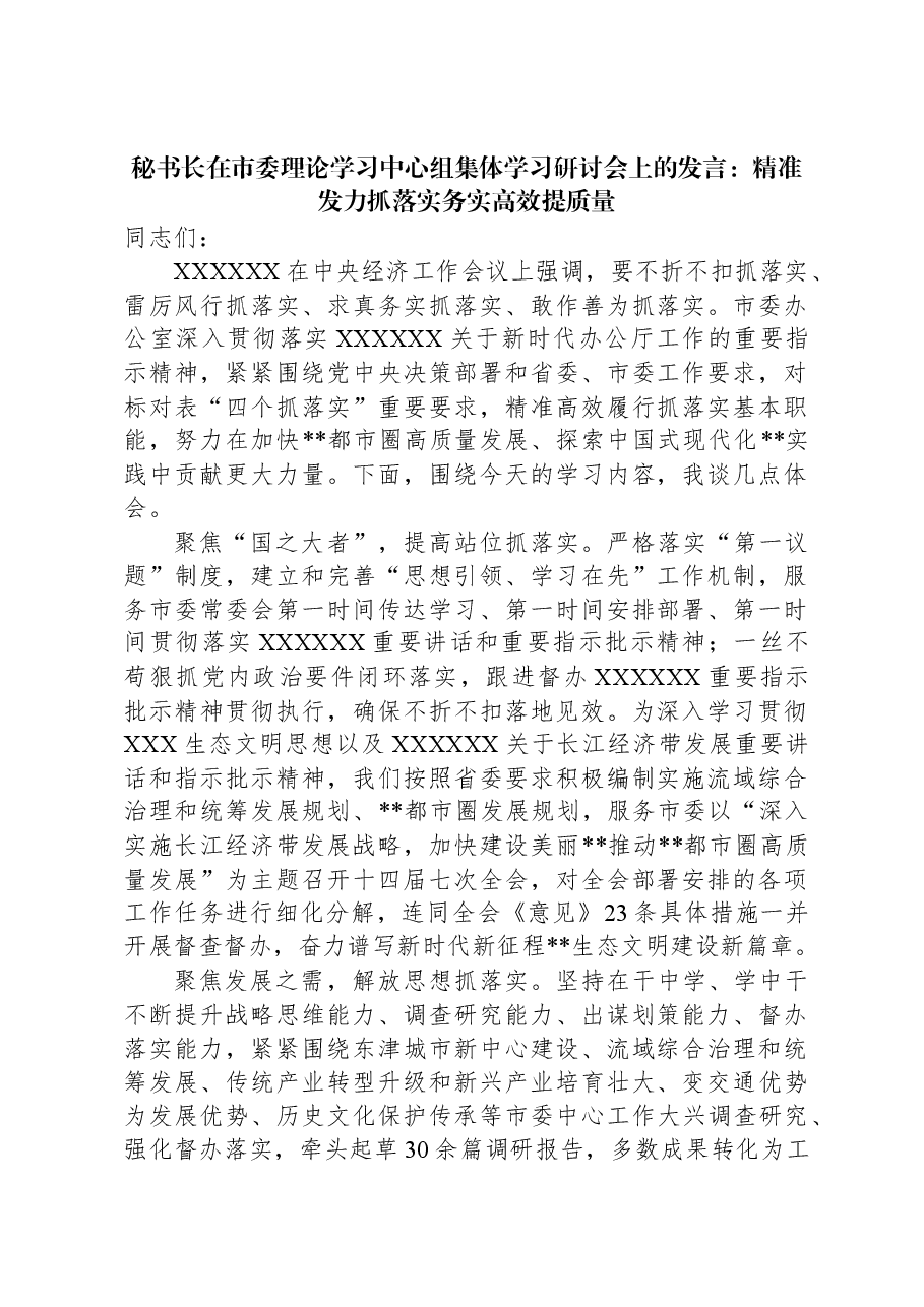 秘书长在市委理论学习中心组集体学习研讨会上的发言：精准发力抓落实务实高效提质量.docx，第1页预览